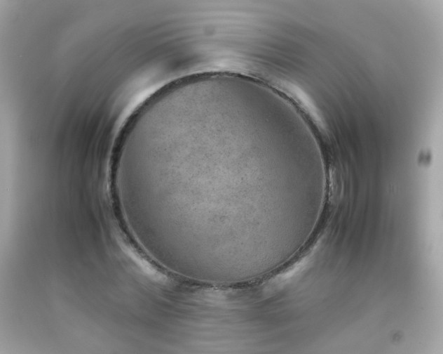X0000092070780200709121415