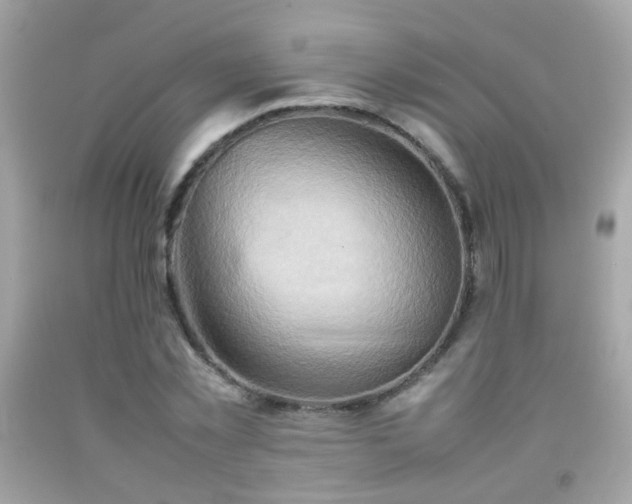 X0000092070781200709121415