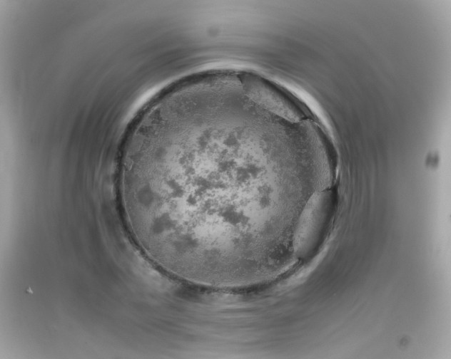 X0000092070783200709121415