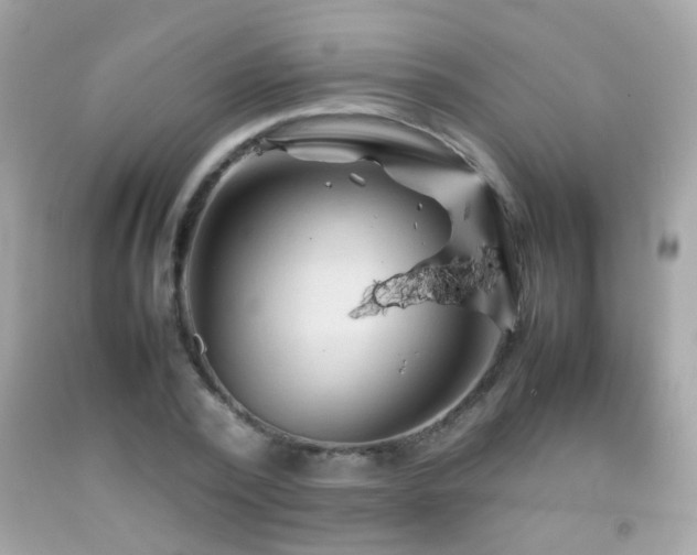 X0000092070784200709121415