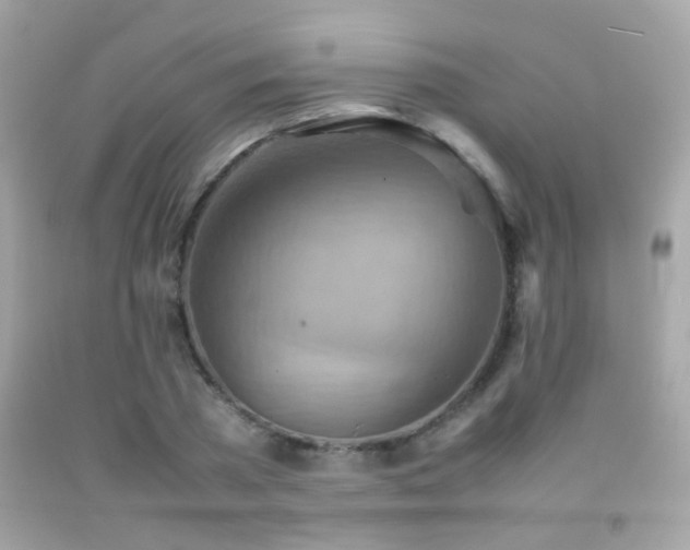 X0000092070785200709121415