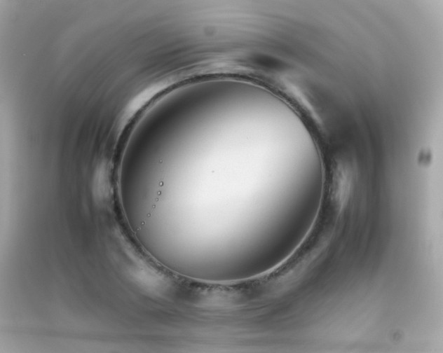 X0000092070786200709121415