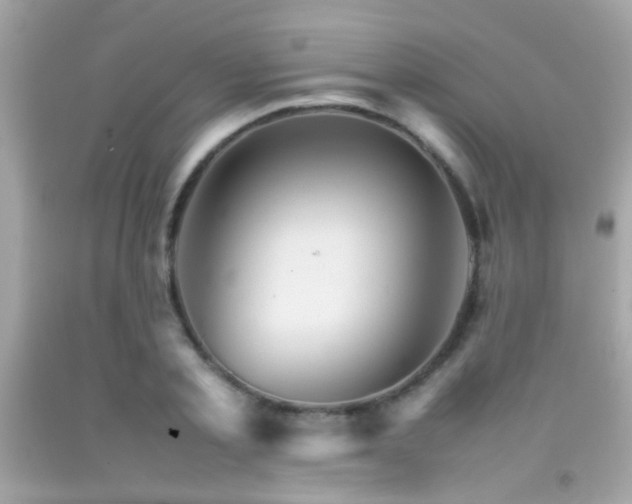 X0000092070789200709121415