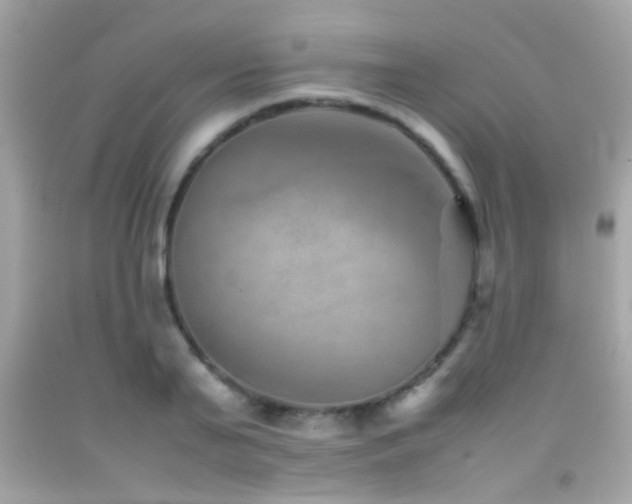 X0000092070791200709121415