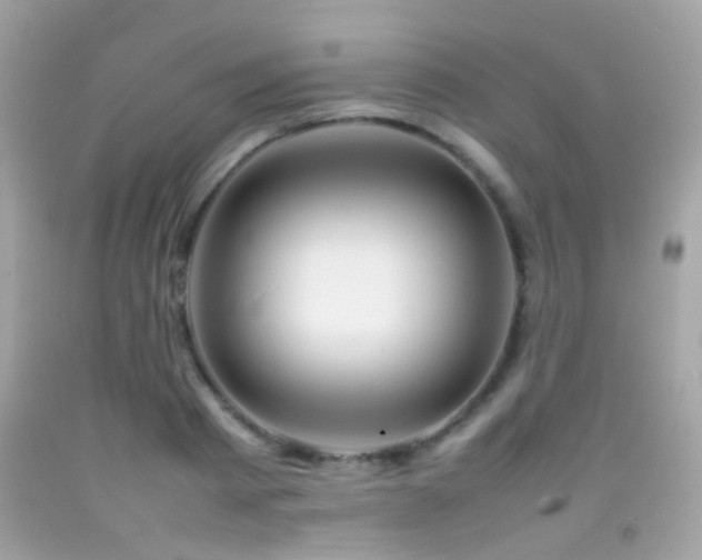 X0000092070793200709121415