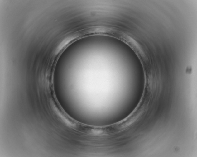 X0000092070794200709121415