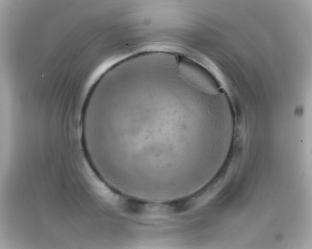 X0000092070795200709121415
