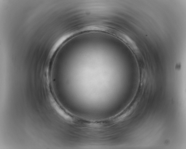 X0000092070796200709121415