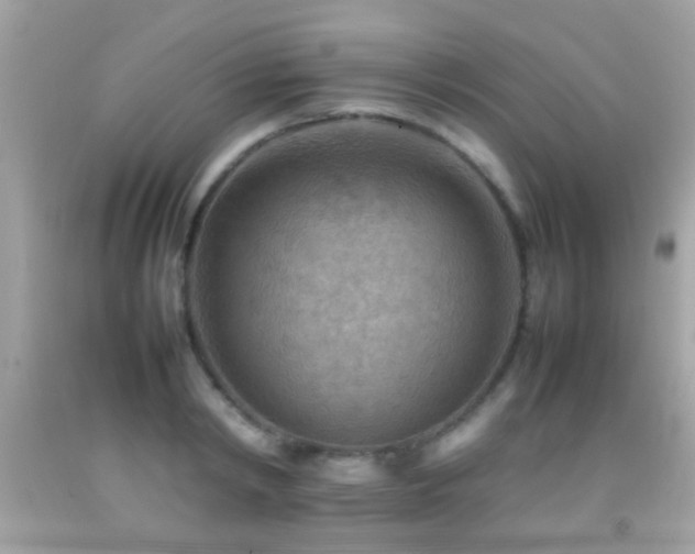 X0000092070798200709121415