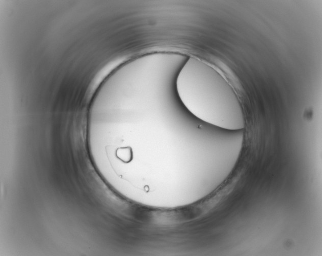 X0000092070804200709121415