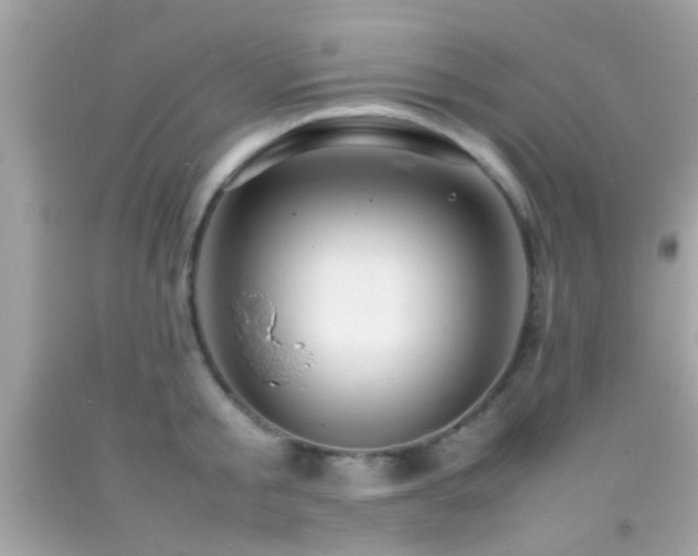 X0000092070805200709121415