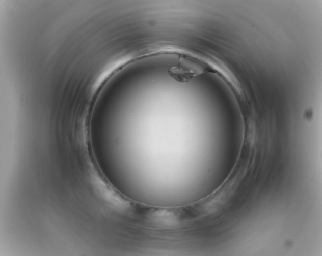 X0000092070806200709121415