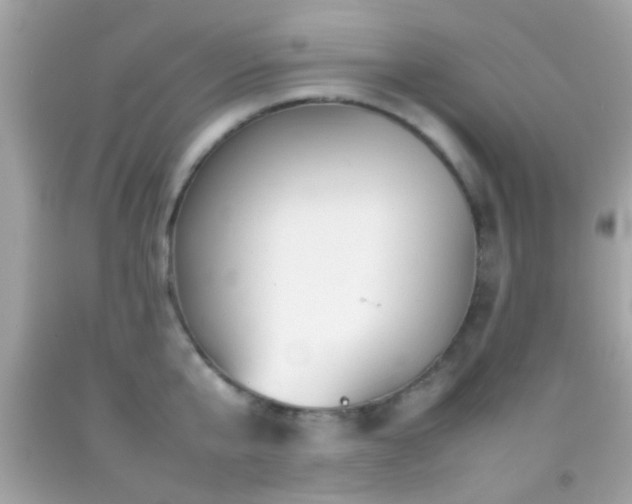 X0000092070807200709121415
