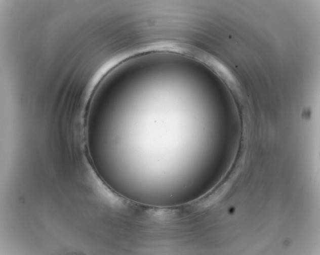 X0000092070808200709121415