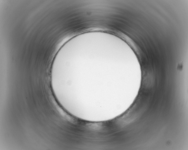 X0000092070810200709121415