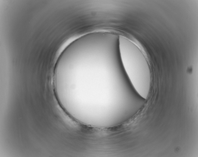 X0000092070811200709121415