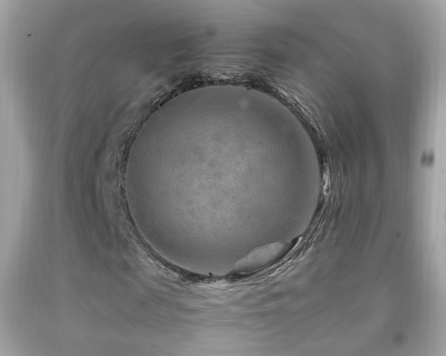 X0000092070817200709121414