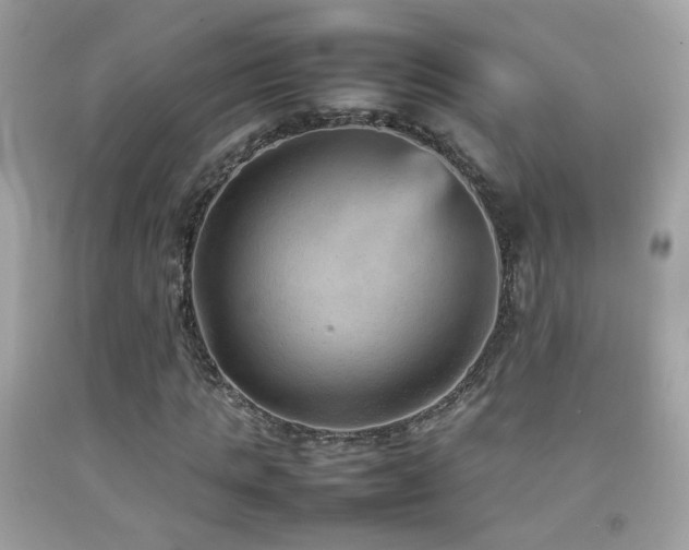 X0000092070821200709121414