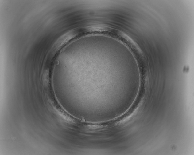 X0000092070825200709121414