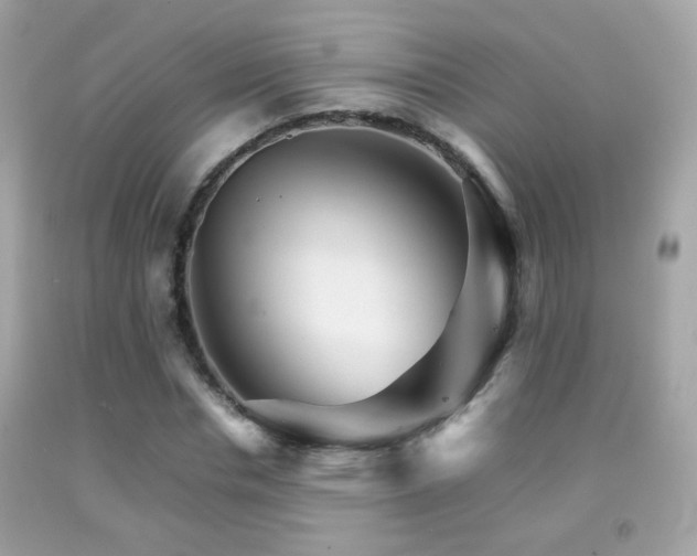 X0000092070826200709121414