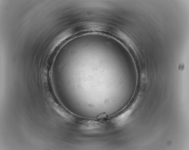 X0000092070827200709121414