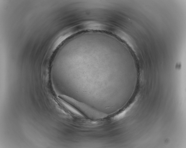 X0000092070829200709121414