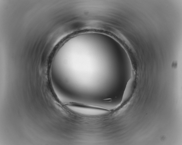 X0000092070830200709121414