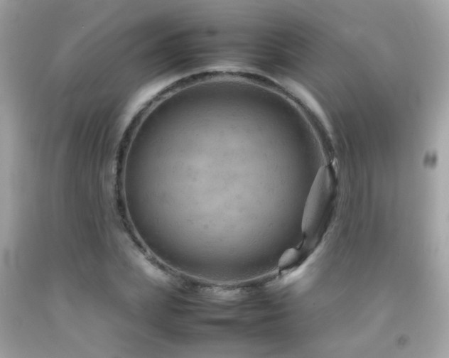 X0000092070831200709121414