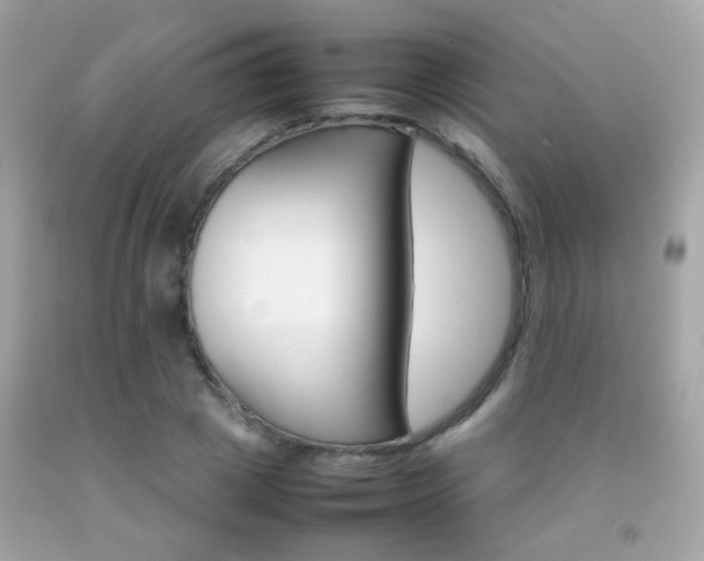 X0000092070833200709121414