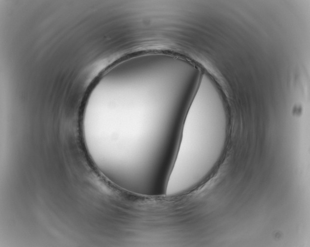 X0000092070834200709121414