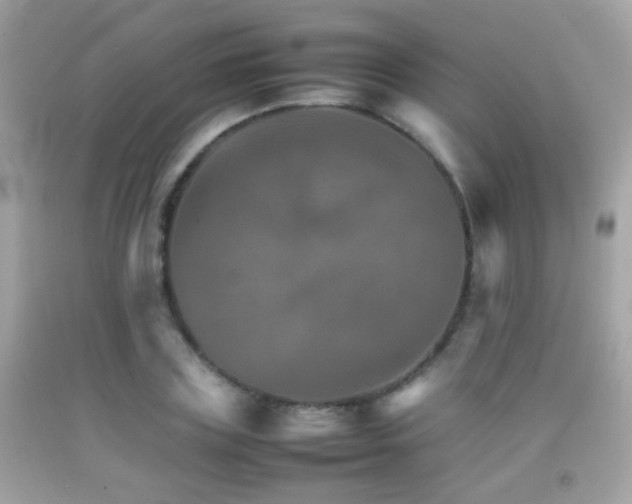 X0000092070835200709121414