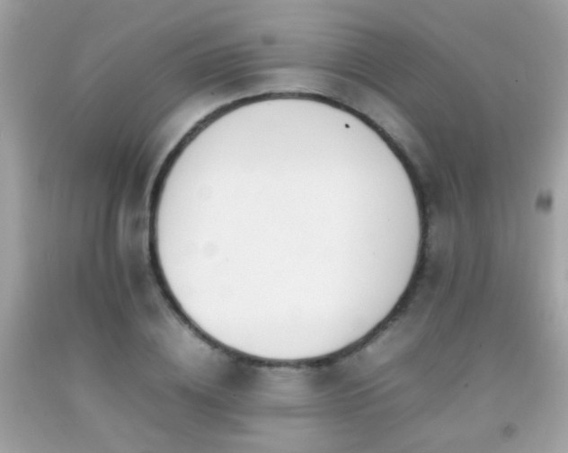 X0000092070836200709121414