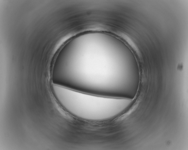 X0000092070837200709121414
