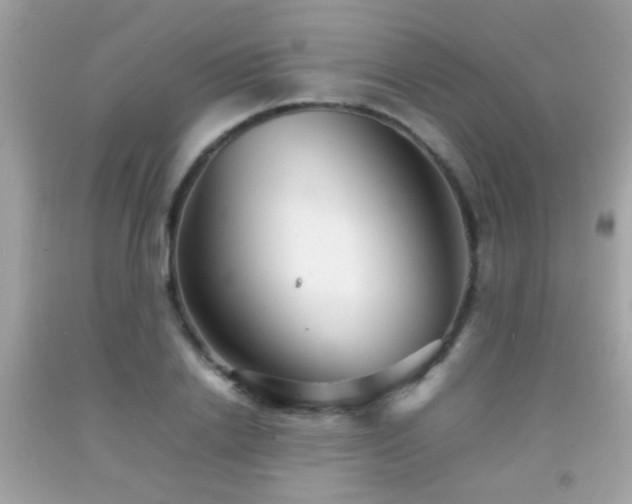 X0000092070838200709121414