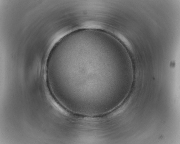 X0000092070840200709121414