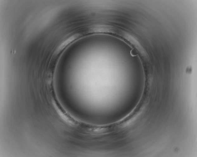 X0000092070841200709121414