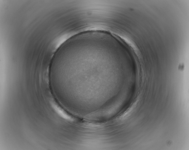 X0000092070842200709121414