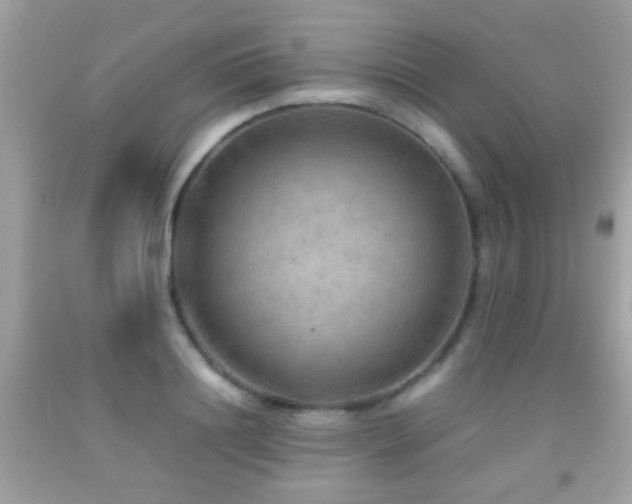 X0000092070844200709121414
