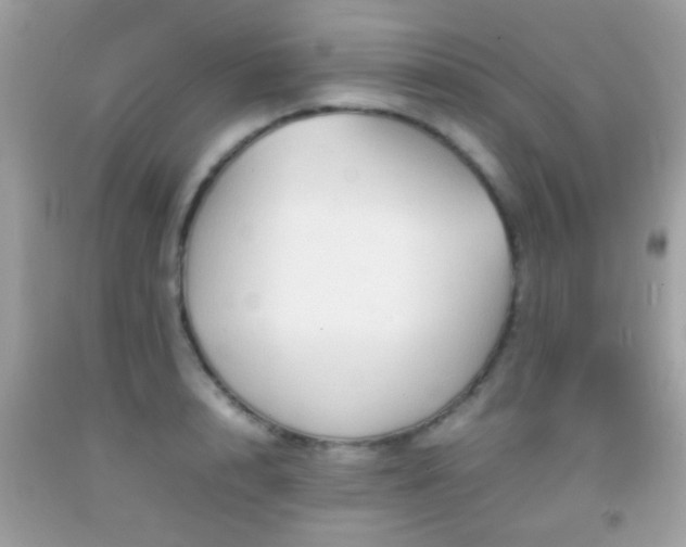 X0000092070848200709121414