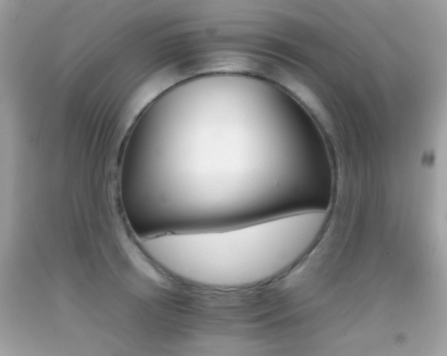 X0000092070850200709121414