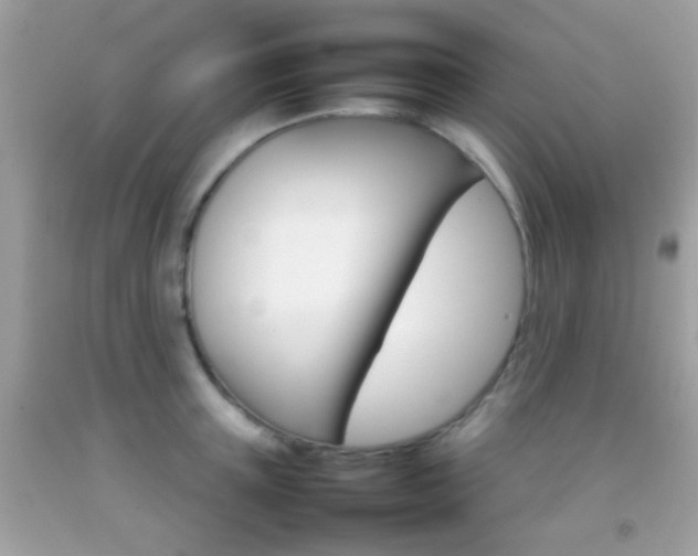 X0000092070851200709121414