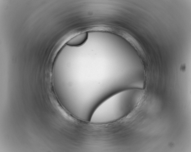 X0000092070852200709121414