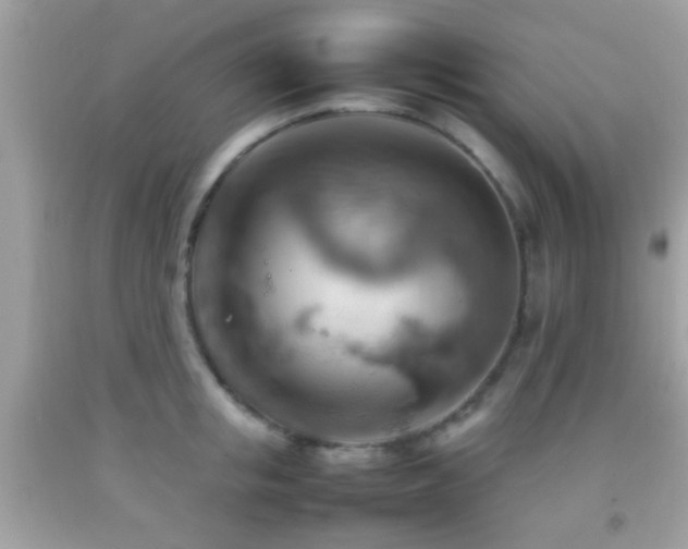X0000092070853200709121414