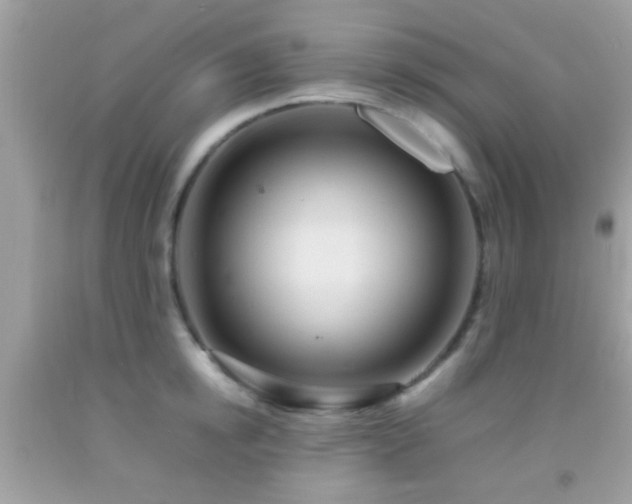 X0000092070854200709121414
