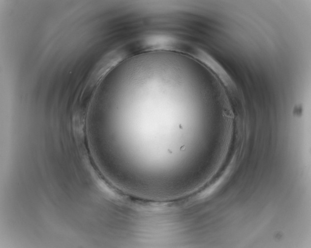 X0000092070857200709121414
