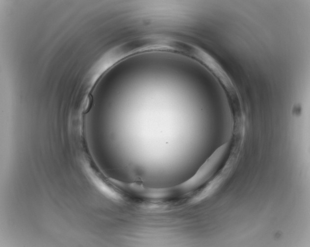 X0000092070858200709121414