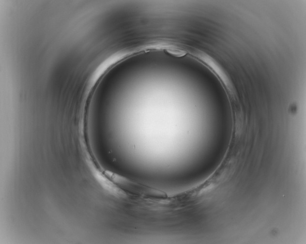 X0000092070861200709121415