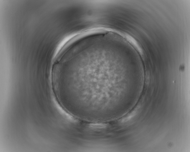 X0000092070863200709121415