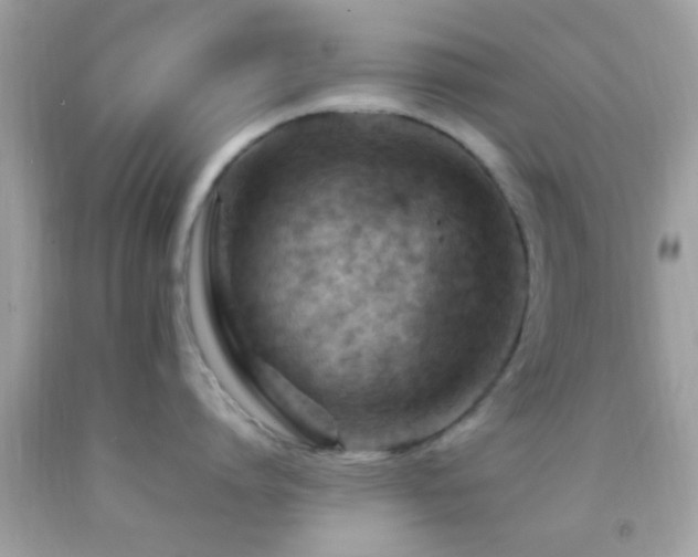 X0000092070864200709121415