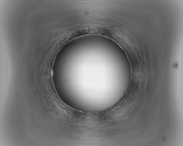 X0000092070865200709121414